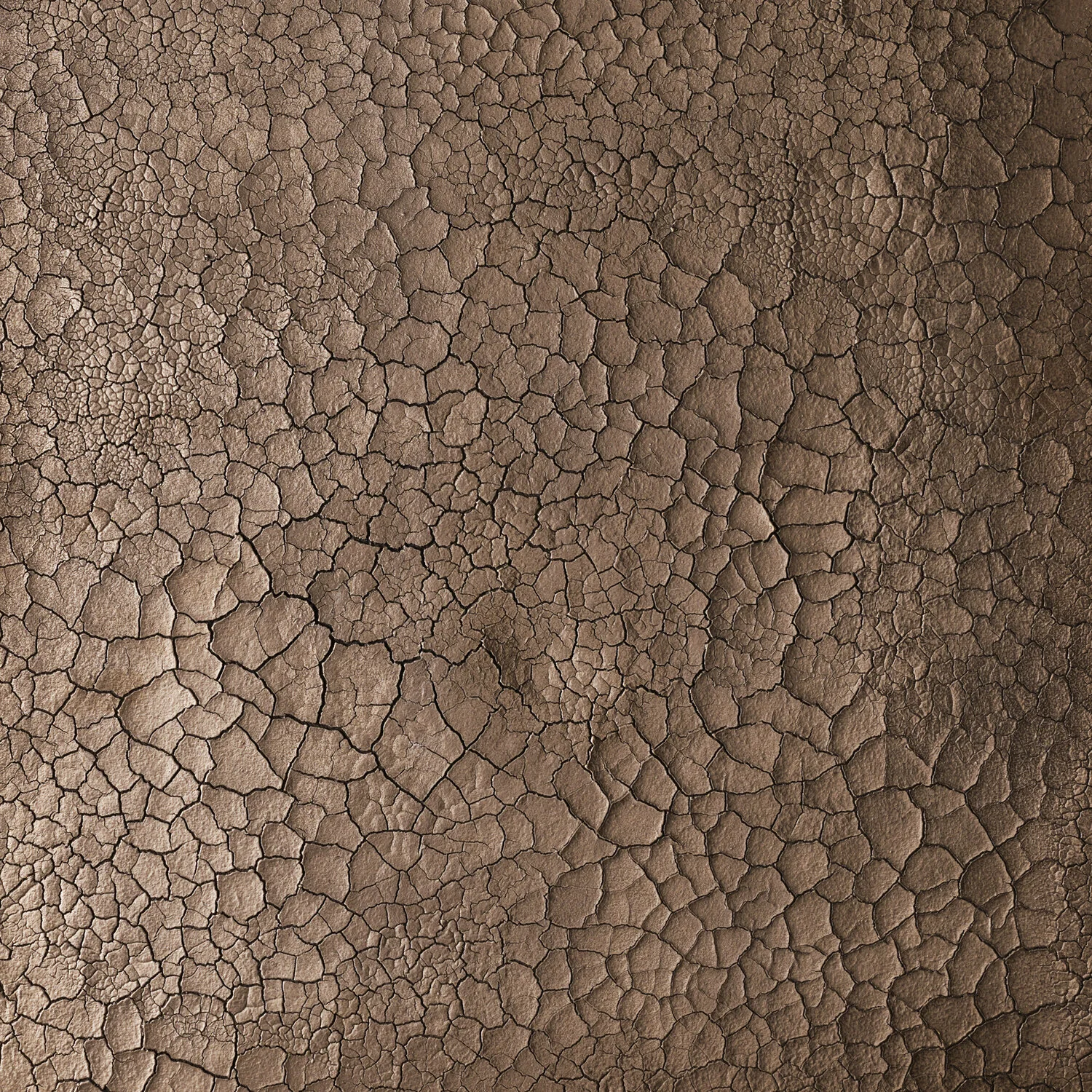 filos, bronze - closeup