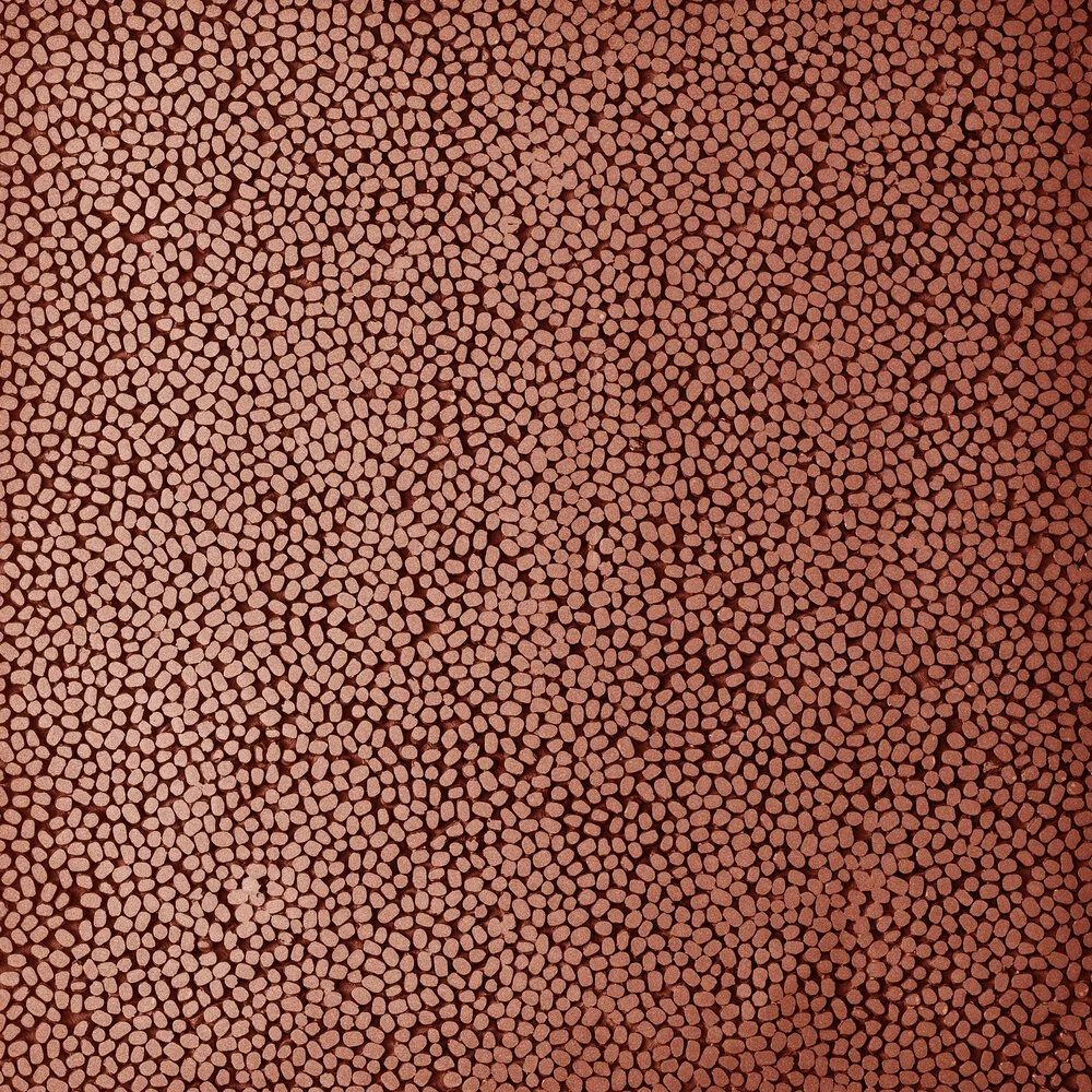 mung, copper - closeup