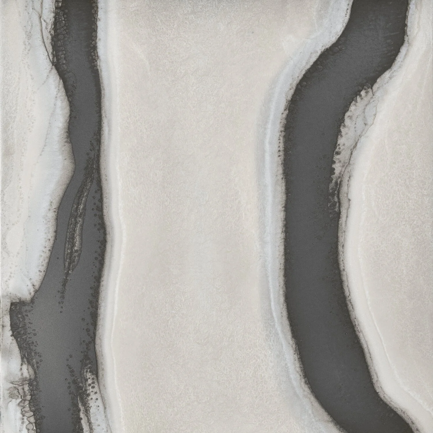 alpheus, pewter - closeup