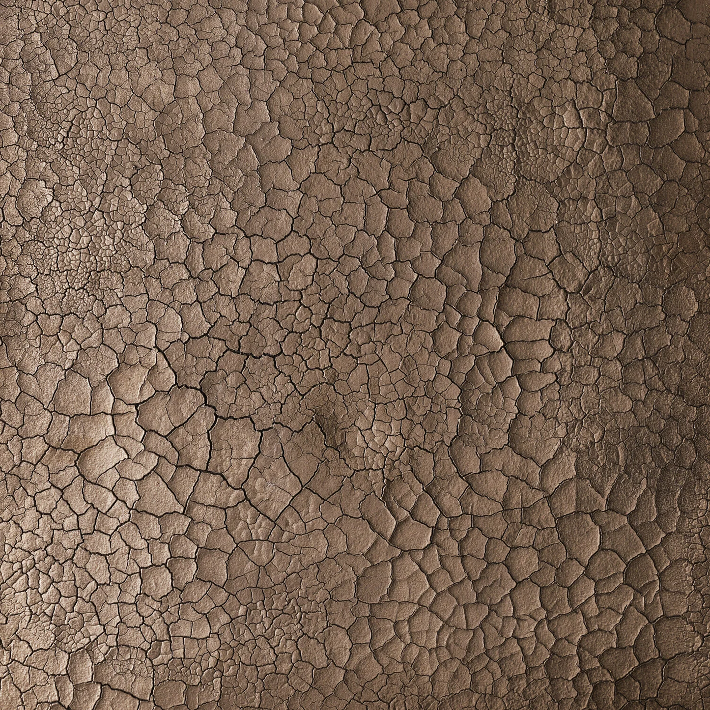 filos, bronze - closeup
