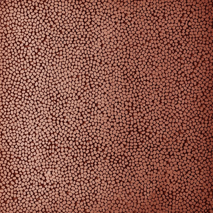 mung, copper - closeup