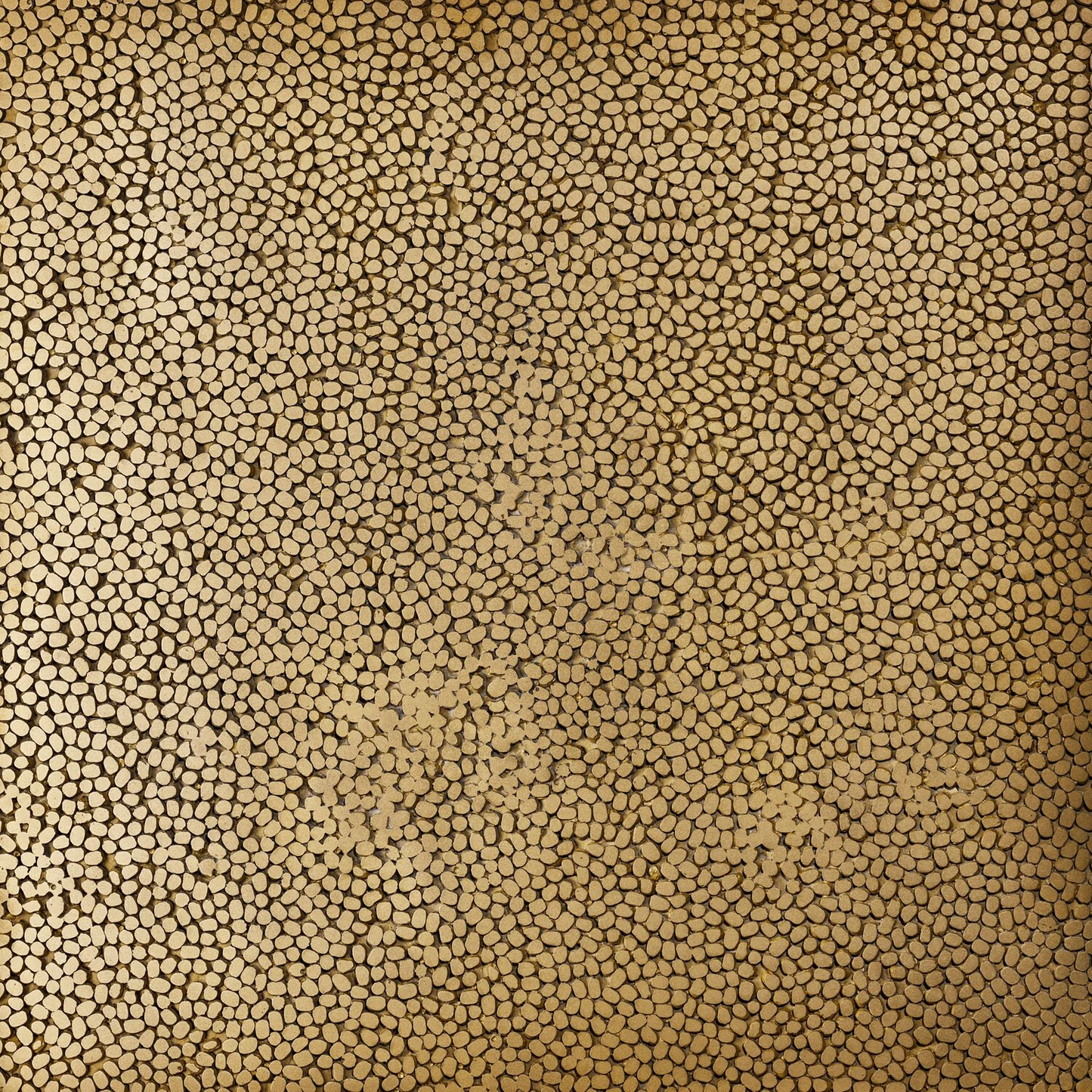 mung, gold brass - closeup
