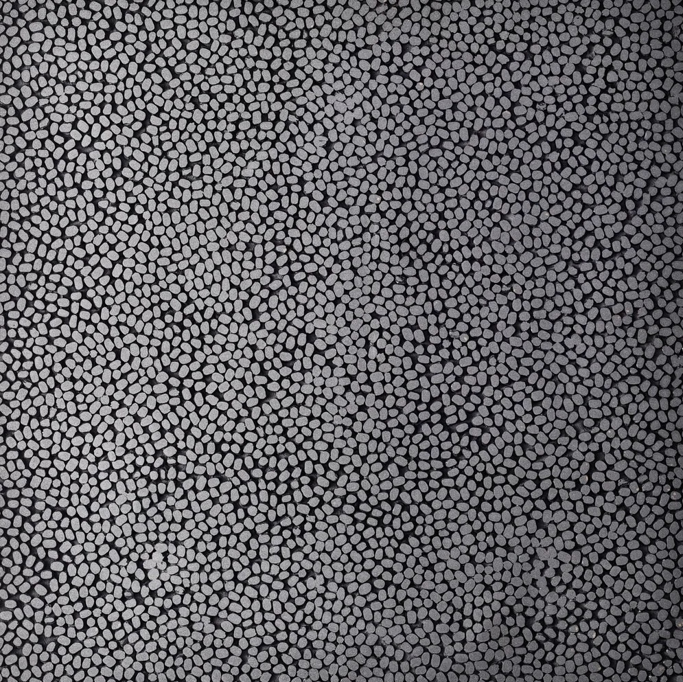 mung, iron - closeup
