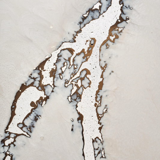 polaris - closeup