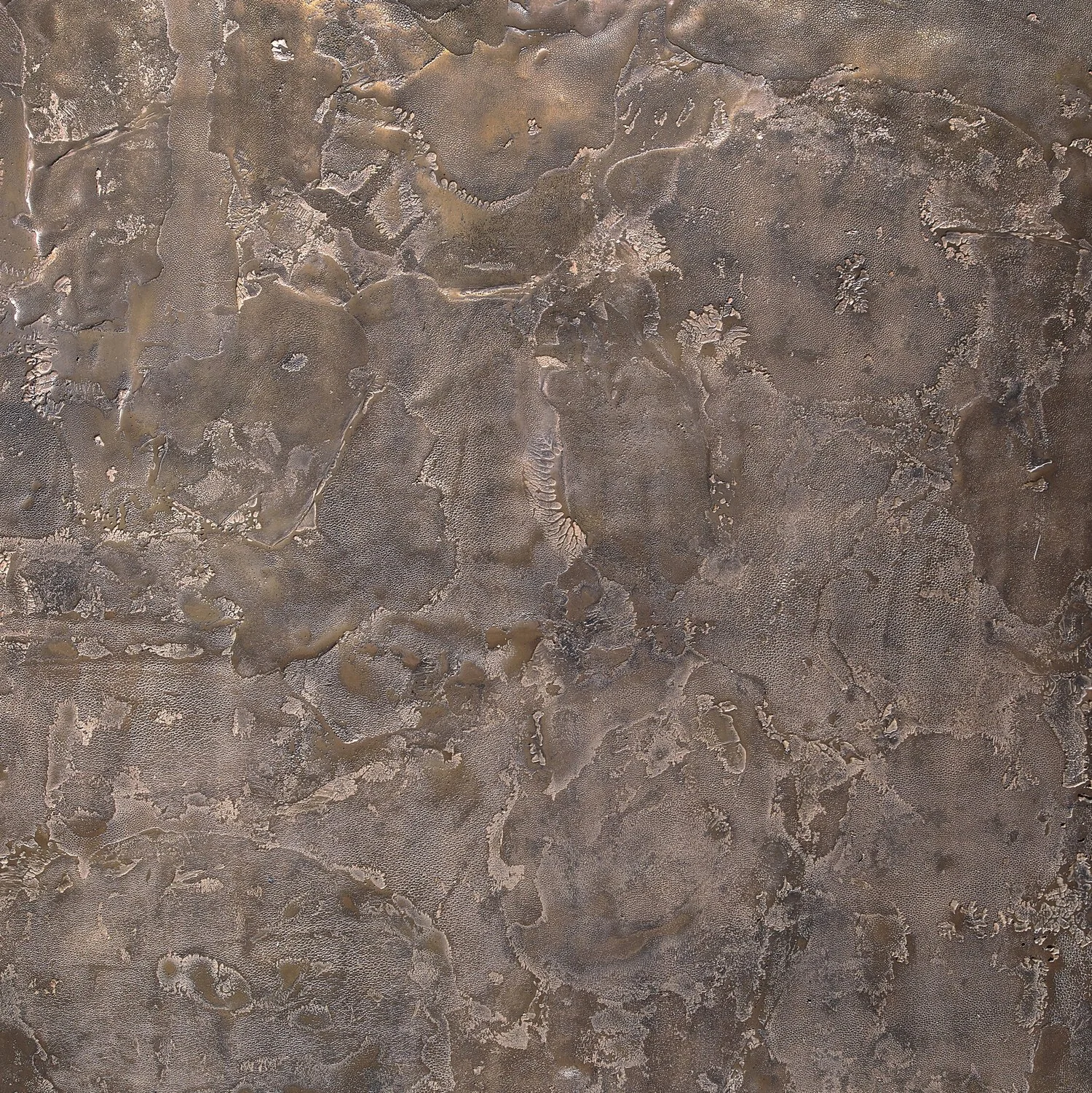 ragged shargreen, bronze - closeup