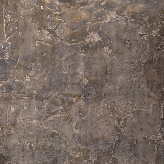 ragged shargreen, bronze - closeup