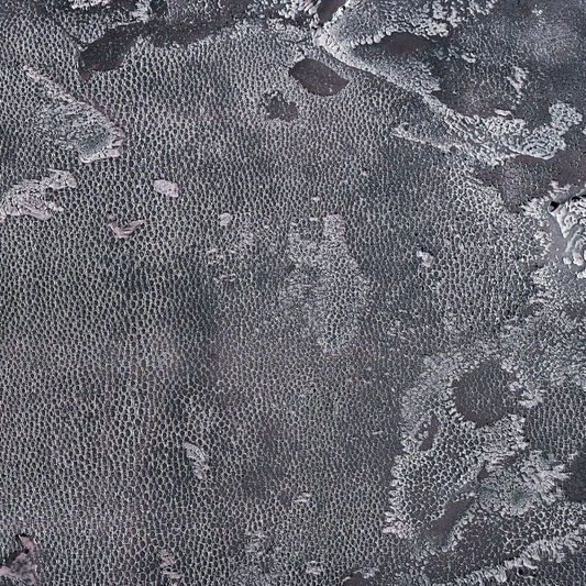 ragger shagreen, iron - closeup