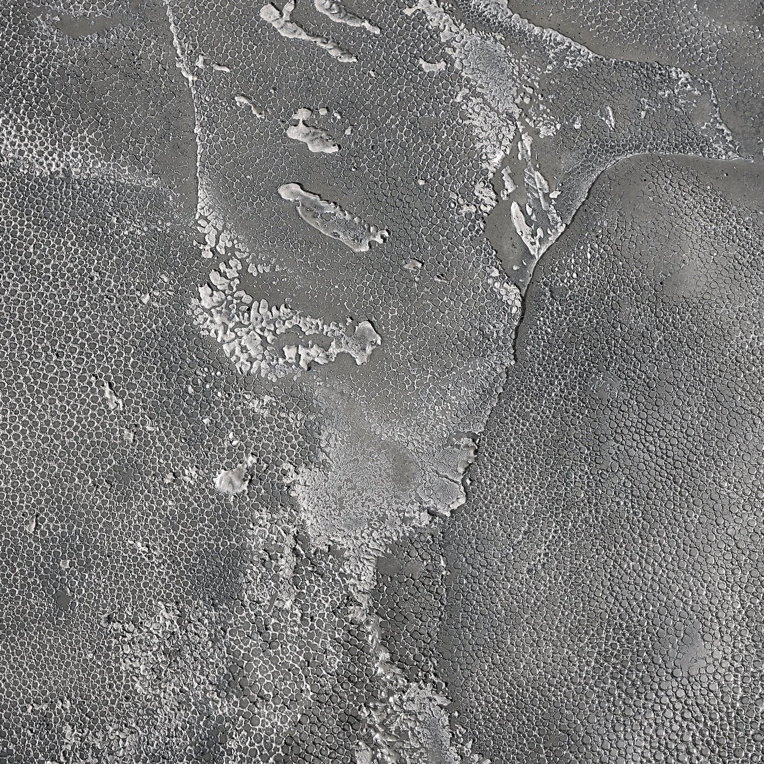 ragged shagreen, pewter - closeup