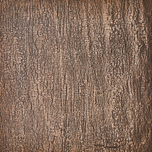 burnt, bronze - closeup