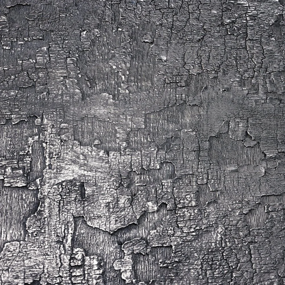 ShouSugiBann, iron - closeup